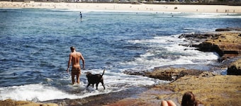 Bondi Breeze Apartment