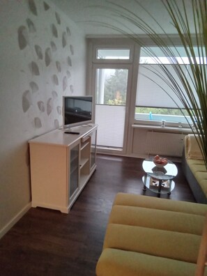 Fernseher, Musikbibliothek, Stereoanlage