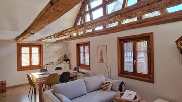 TV, fireplace, books