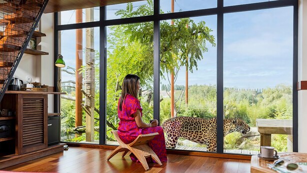 Una mujer sentada junto a un ventanal grande con vista a un leopardo.