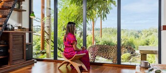 Les Lodges - Parrot World