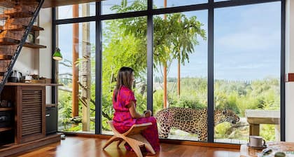 Les Lodges - Parrot World