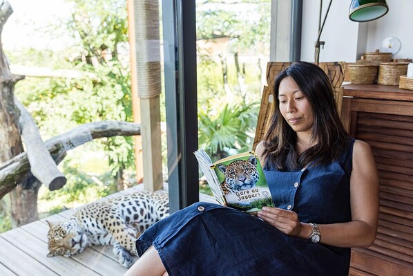 A person reading a book with a leopard in the background. - Les Lodges - Parrot World (Crecy-la-Chapelle)