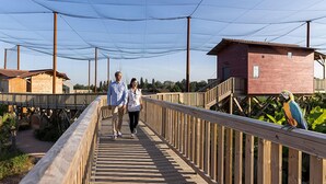 Un puente peatonal de madera con una cubierta de malla, que lleva a un edificio de techo rojo.