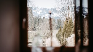 Uitzicht door een raam op een berglandschap, met besneeuwde toppen en bomen.