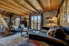 TV, fireplace, books
