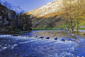 Une rivière au lit rocheux, bordée d’arbres.
