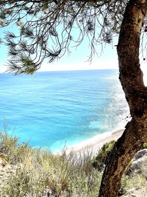 Playa en los alrededores 
