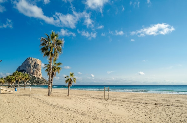 Une plage avec une grande formation rocheuse, des palmiers et un ciel bleu dégagé.