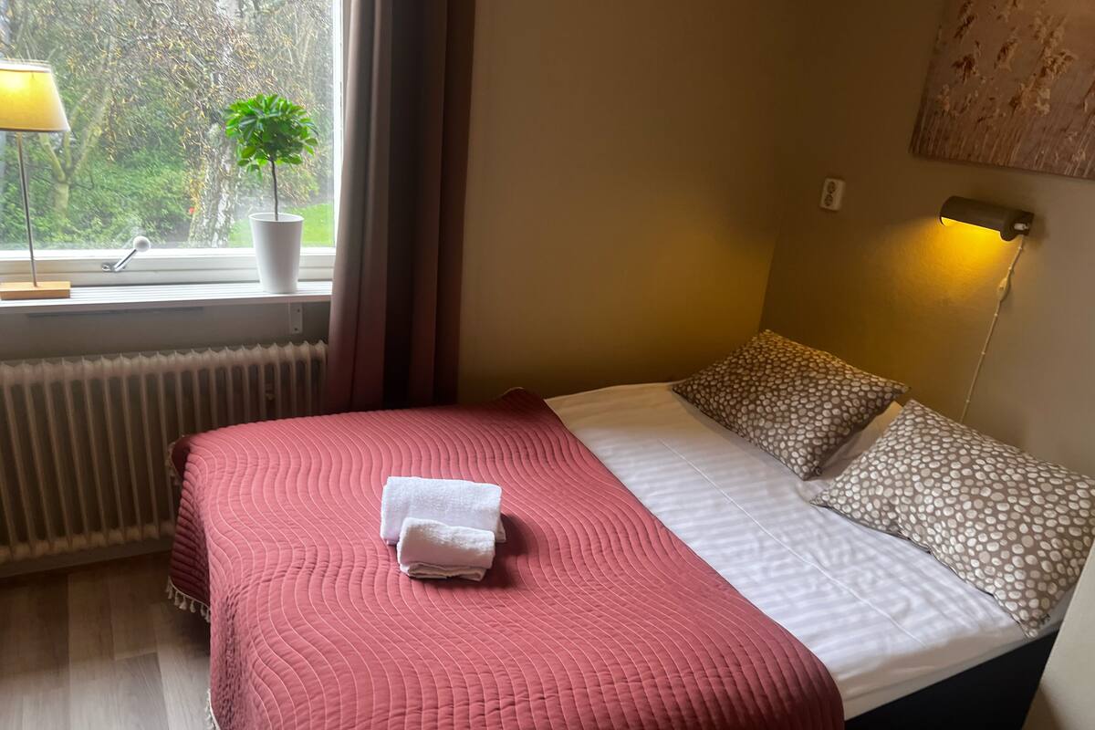 A hotel room with a bed, a window with curtains, a radiator, a lamp, and a plant.