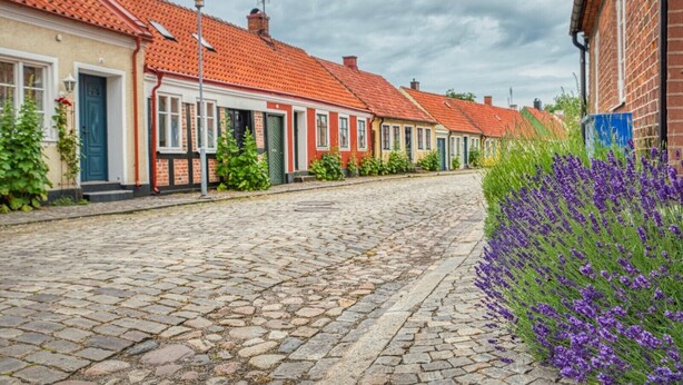 A cobblestone street lined with traditional houses, each with a red-tiled roof and a small garden area.