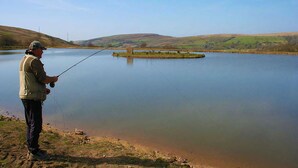 A man fishing by a calm lake with a distant island and rolling hills in the background. - The Pines Cabin (Swansea)