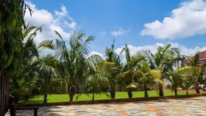 A stone patio with palm trees and a bench. - The Haven Boutique Hotel - Kumasi, Ghana (Ejisu)