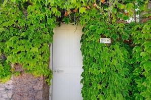 Détail de l’extérieur