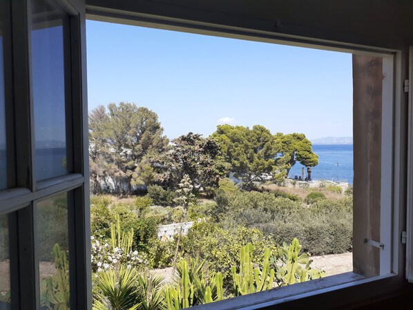 A view through a window of a coastal landscape with trees and a clear sky.