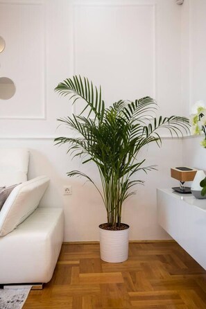 Lejlighed | Udendørsområde