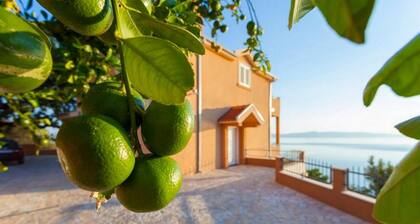 Summerheaven Apartments