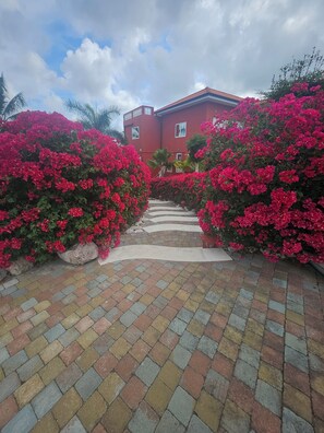 Property grounds - Villa mit 3 Apartments (Jan Thiel)
