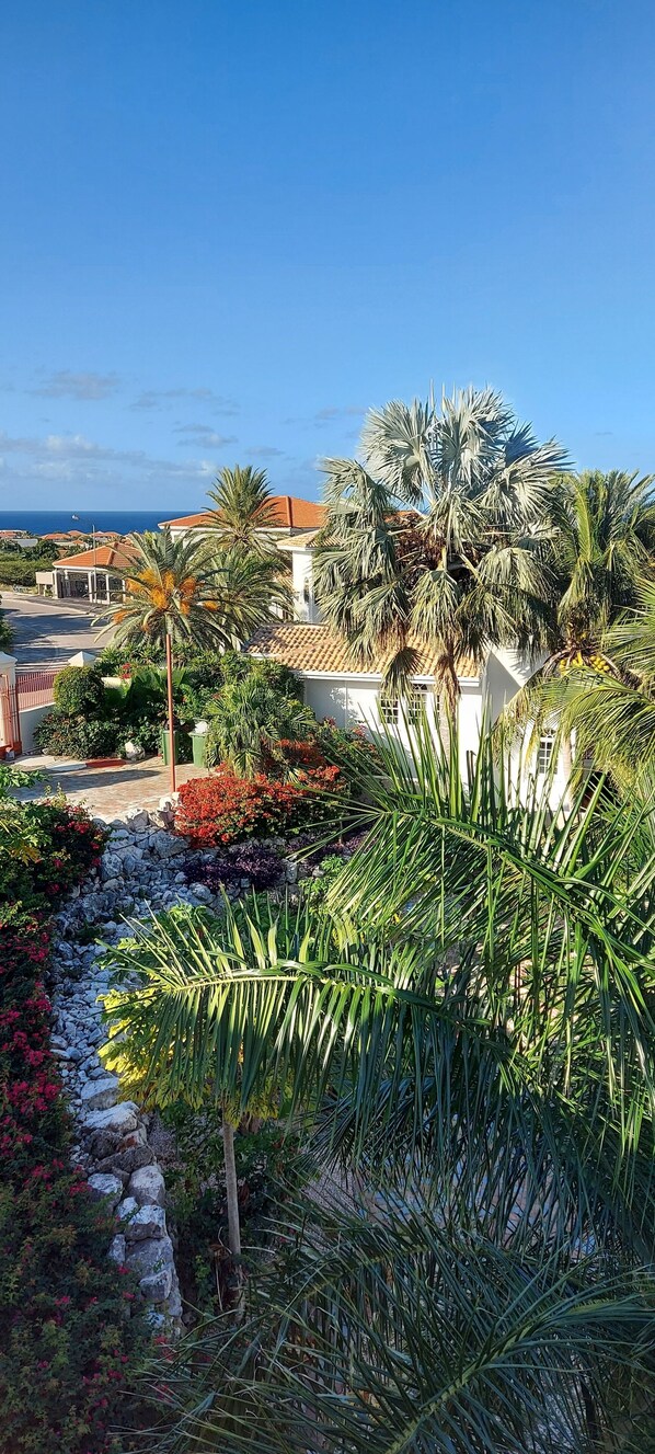 Property grounds - Villa mit 3 Apartments (Jan Thiel)