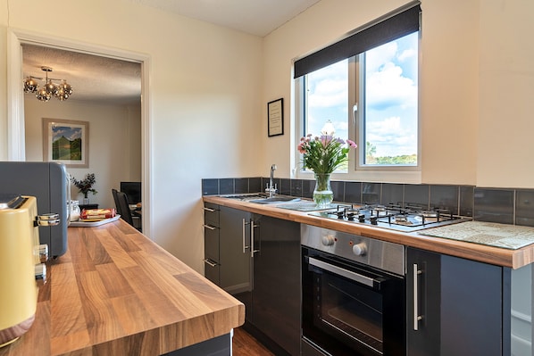 Fridge, microwave, oven, electric kettle