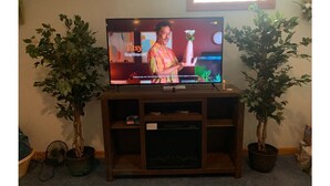 A television on a wooden stand with two potted plants on either side. - Cheerful 4BR/12BD “Ravishing Ranch” (Dayton)
