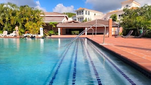 Una piscina con agua azul cristalina y separadores de carril, rodeada de sillas de descanso y palmeras.