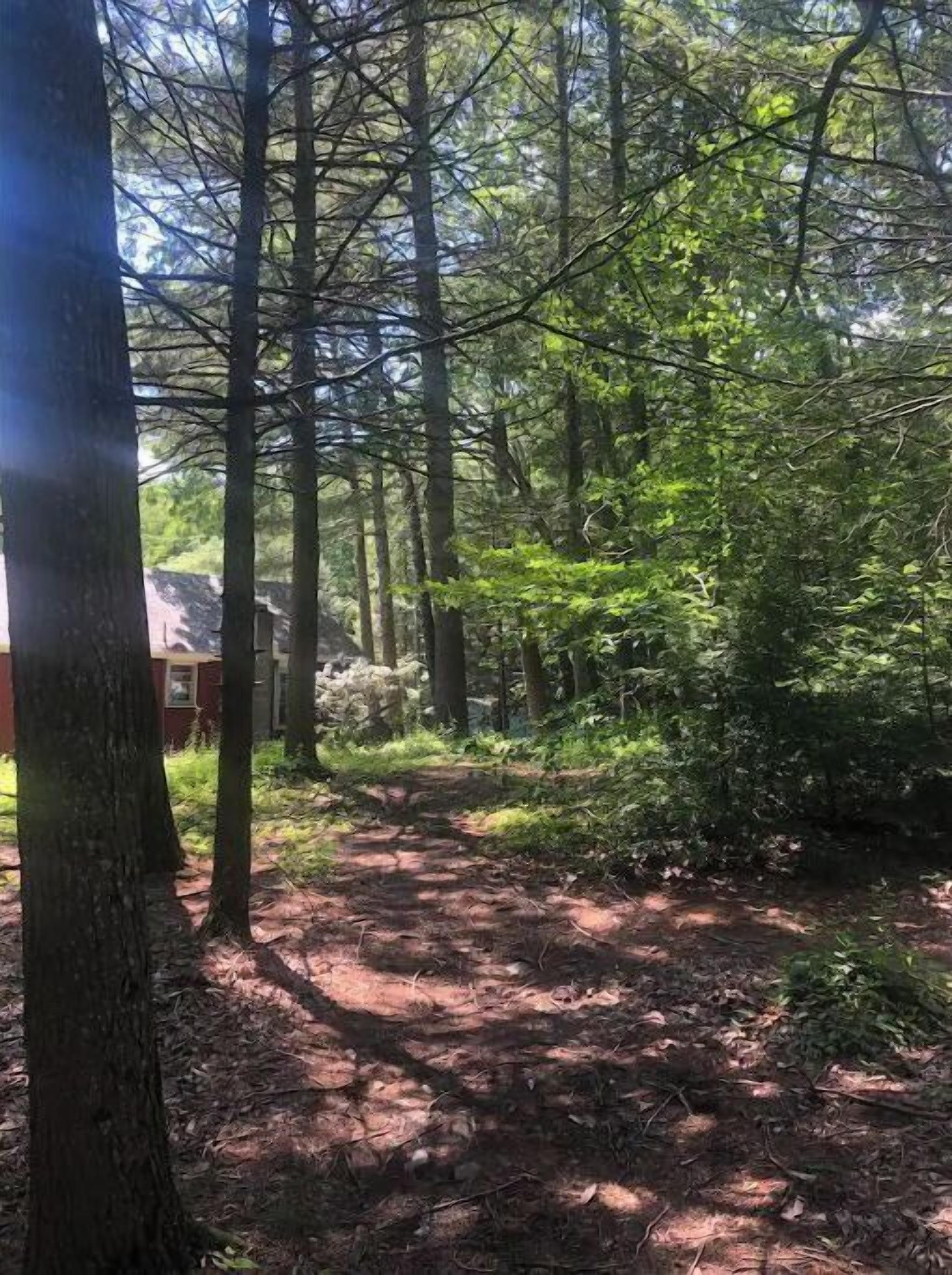 Àrea exterior de l'allotjament