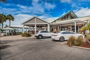 Property grounds - Adorable Villa 1 min to Downtown Dunedin (Dunedin)