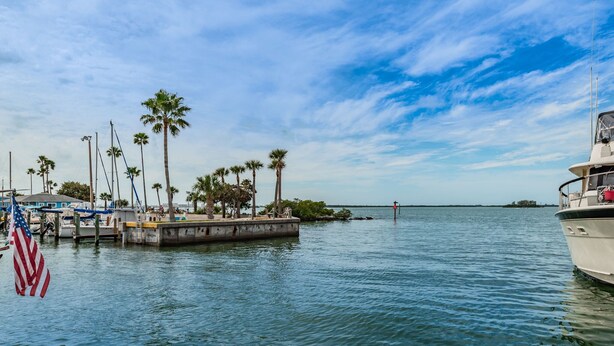 Puerto deportivo con barcos amarrados, palmeras y una bandera estadounidense.