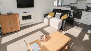 A modern living room with a flat-screen TV, a fireplace, a sofa with cushions, a coffee table with a decorative bowl, and a kitchen area with cabinets and appliances. - Pinecone Lodge - No 9 (Morpeth)