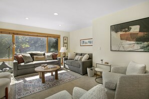 Smart TV, chimenea y reproductor de DVD