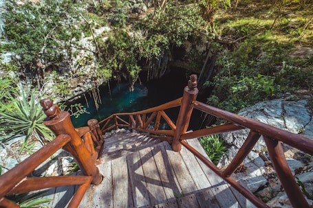 Exterior. Destino Mío Mayan Jungle Retreat