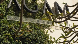A sign with the letters "AGM" and the words "HOPE BOUQUETTE" partially obscured by foliage. - AGAM Hotel Boutique Bacalar - Adults Only (Bacalar)