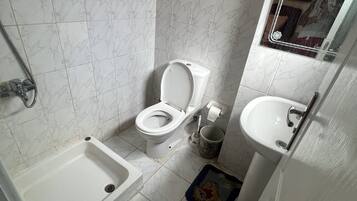 Baignoire, serviettes fournies, papier de toilette