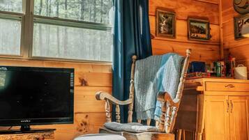 TV, fireplace, DVD player, books