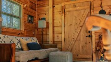 TV, fireplace, DVD player, books