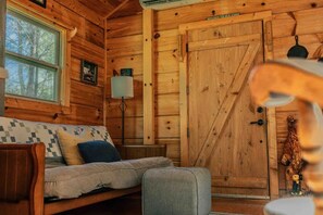 Televisión, chimenea, reproductor de DVD y libros 