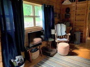 TV, fireplace, DVD player, books - Wahoo Cabin - Table Rock, Jones Gap, Caesar’s Head, Pretty Place Chapel  (Cleveland)