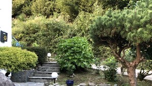 A stone pathway leading through a garden with various plants and trees.