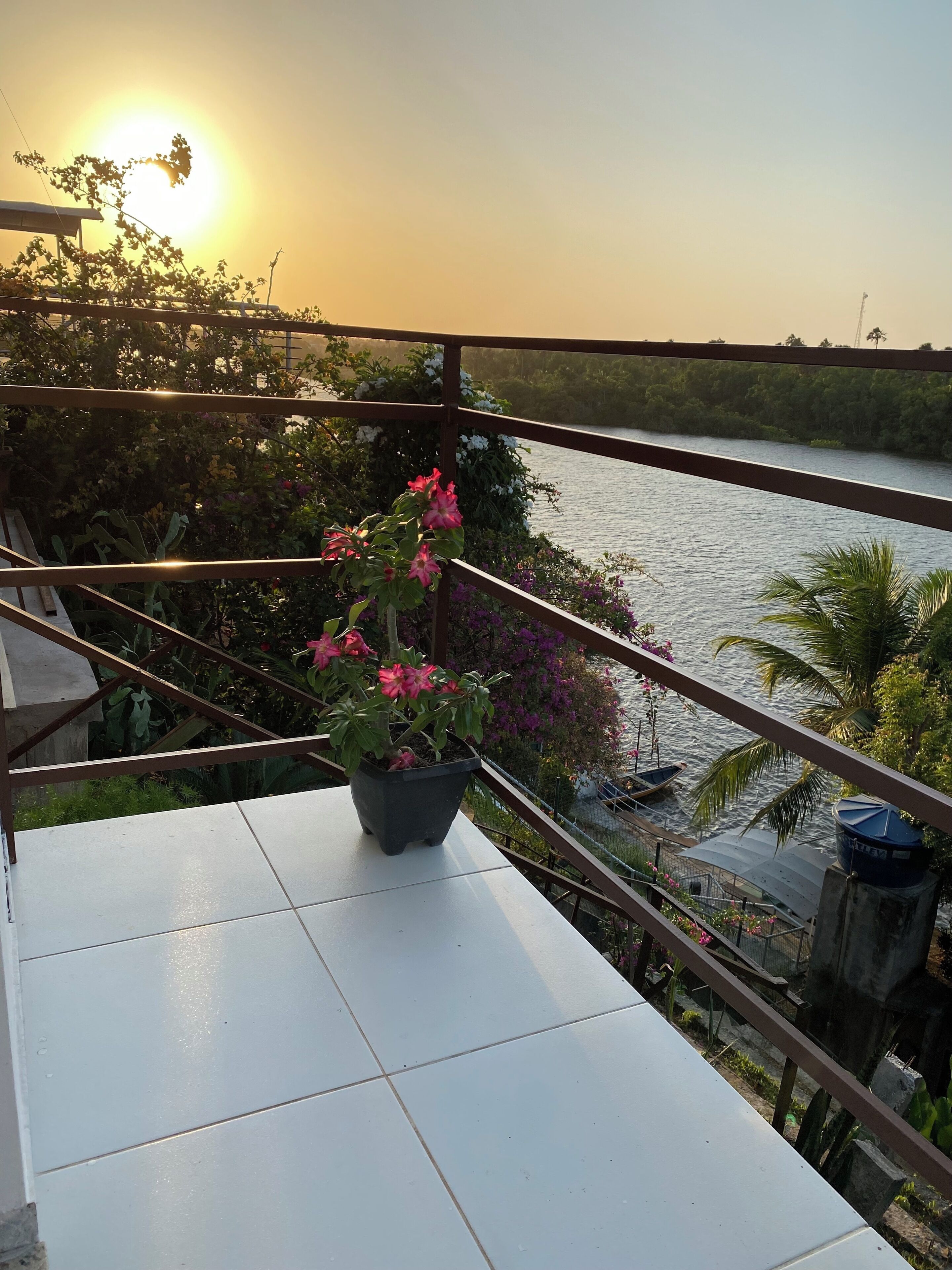 Ein Balkon mit einem Blumentopf und Blick auf einen Fluss.