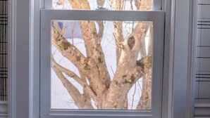 A window with a view of bare trees, a radiator below, and a white frame.