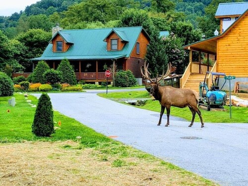 2 Master Suites - Clean - Cozy - WiFi - Elk - Covered Porch - ezAccess - 5 Stars