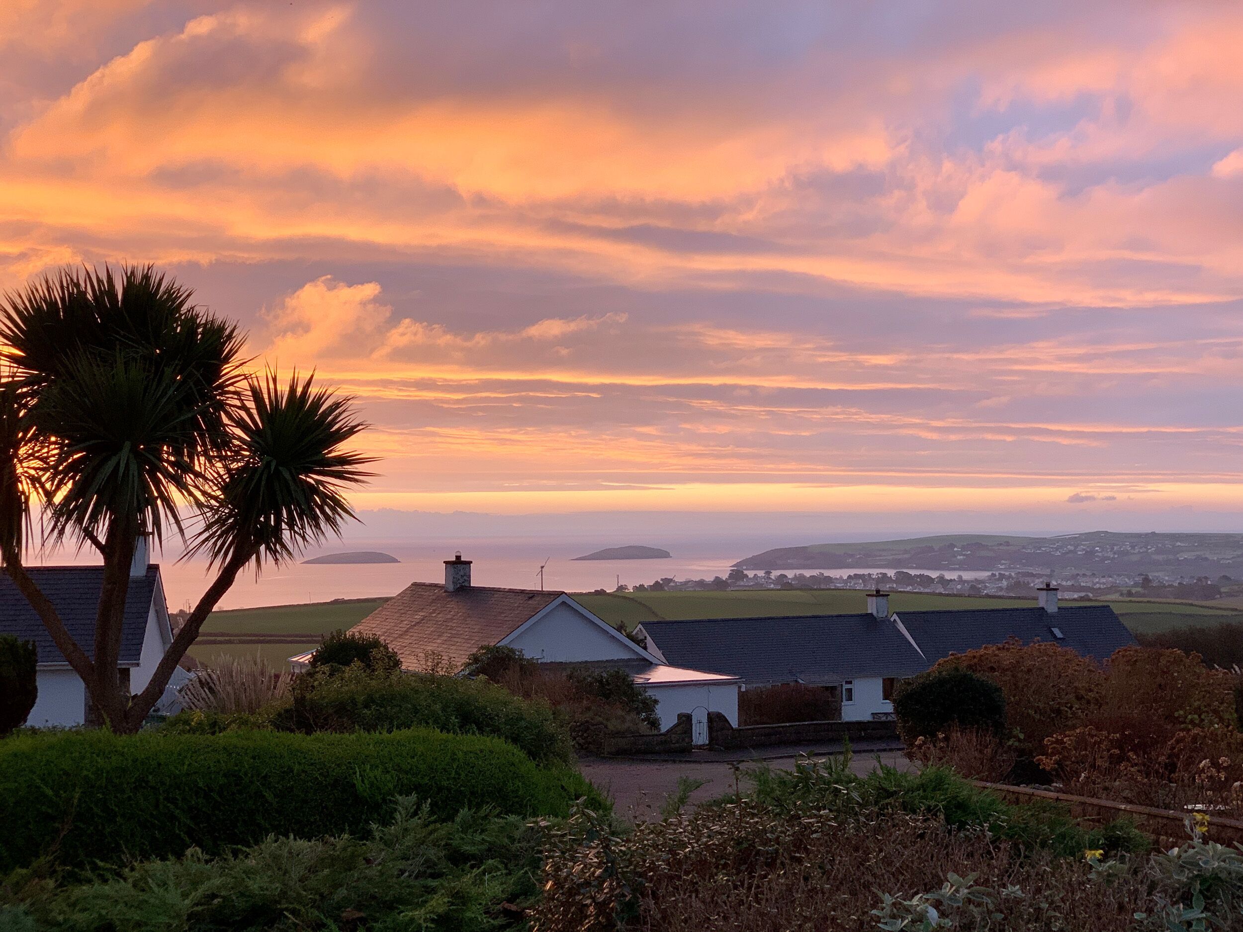 A coastal landscape with houses, a view of the sea, and palm trees.