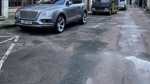 Eksteriør