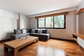 Fernseher, Arbeitsbereiche