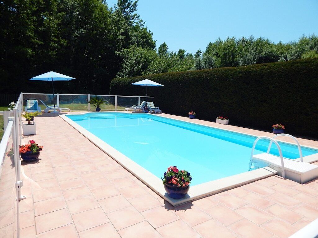 Una piscina rectangular amb una terrassa enrajolada, dues gandules i plantes en testos.