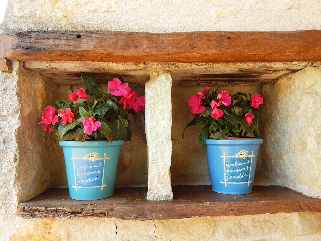 Twee blauwe potplanten met roze bloemen op een plank voor een gestructureerde muur.