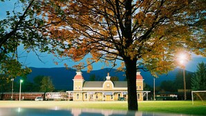 A historic building with a large tree in front, a reflection pool, and mountains in the background.