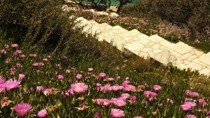 A coastal landscape with a stone pathway, dense greenery, and pink flowers. - Luxury Seafront Villa Eros with Private Pool - Rock Bay Villas - Crete, Greece (Agia Pelagia)