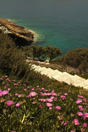 Property grounds - Luxury Seafront Villa Eros with Private Pool - Rock Bay Villas - Crete, Greece (Agia Pelagia)